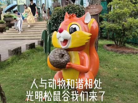 人与动物和谐相处,实拍长沙望城光明松鼠谷的小动物们,超萌哒 #人与自然和谐共处 #孔雀 #万物皆有灵性