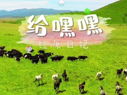 跟着海宇一起“给嘿嘿”,大家学会了吗? 学会了也可以来红原大草原吼起来~记住一定要大点声哦~#带你走进美丽的大草原 #给嘿嘿 #红原大草原 #骑着骏马游草原 #美丽的草原风光无限
