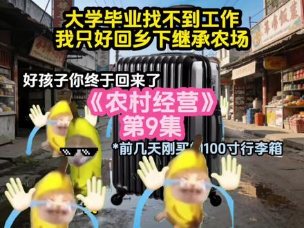 《农村经营》|第9集#猫meme #猫meme日常