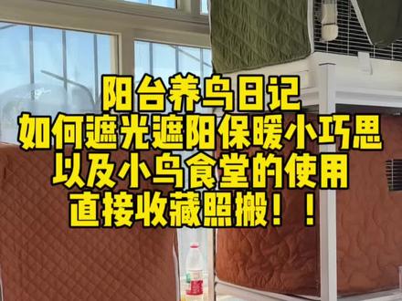 阳台养鸟也可以很舒服!#阳台空间利用 #养鸟经验分享 #新手养鸟 #宠物生活记录