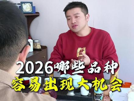 2026年哪些品种会有大机会? #期货 #期权 #期货交易 #期货分析 #交易