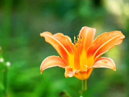 #我要上热门 #男人成功的标准有很多#不同的人会有不同的答案 修心养性#分享正能量 #励志语录 @抖音小助手