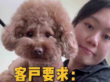 怎么搞啊?!
#宠物美容
#宠物美容师
#宠物
#宠物美容造型
#头条宠物
