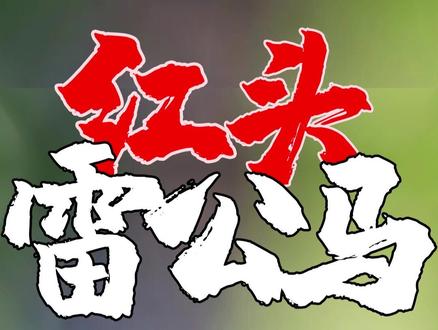 海南雷公马是什么梗,给大家科普一下
