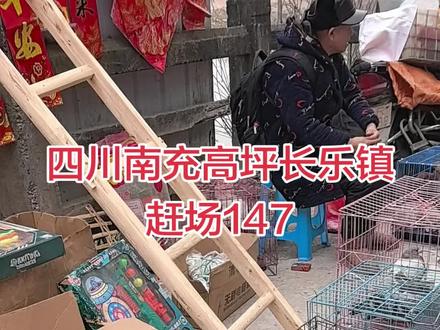 只有四川人
才懂147 258 369
是什么意思吧#赶场 #农村集市 #赶大集 #四川南充#乡镇