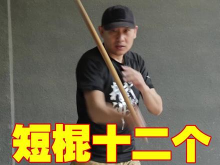 菲律宾短棍十二个击打角度 #菲律宾短棍 #武术教学 #短棍教学 #精武讲堂