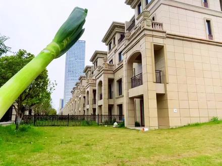 #别墅豪宅 #好房推荐 #实景拍摄 不说了,去门口的塘西公园散步了!