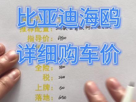 比亚迪海鸥买车详细落地价分享 #汽车#用车知识分享 #买车 #汽车人共创计划 #比亚迪海鸥 #海鸥