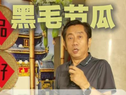直播最岭南,欢迎来吃瓜 顺德天花板级黑毛节瓜来了!长在鱼塘上、吸足水汽,自带清甜软嫩!老火汤、拆鱼羹都超鲜~顺德桑麻村原产,正宗 “创汇瓜”,一口沦陷的岭南鲜甜!#顺德美食 #乡村振兴 #百千万工程 #桑麻黑毛节瓜 #家乡特产 @广东文旅 @佛山发布