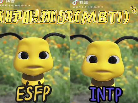睁眼挑战,MBTI版 #MBTI #esfp #intp #intj #睁眼挑战