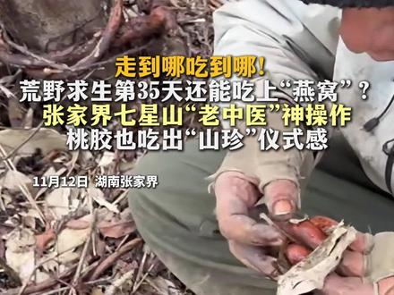 走到哪吃到哪!荒野求生第35天还能吃上“燕窝”? 张家界七星山“老中医”神操作...桃胶也吃出“山珍”仪式感。#荒野求生 #张家界七星山 #老中医