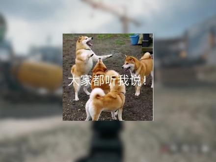 电脑这几种截图方式!你知道几个? #三角洲行动 #电脑 #diy电脑 #知识分享 #电脑小知识
