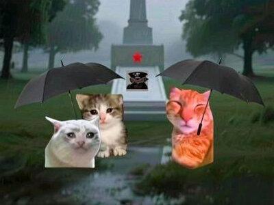 缉毒警的长征:用生命换无毒明天 #猫meme #警号封存 #向英雄致敬 #永久封存