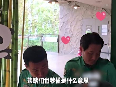 爱宝因身体情况提前暂停营业#保护大熊猫 #爱宝三胎