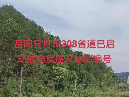 s308省道岳阳县段前期巳启动放线准备修路!