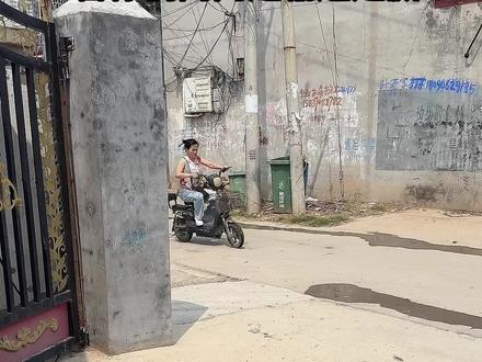 看来今天婆婆输的不少#搞笑婆媳 #看一遍笑一遍 #原谅我不厚道的笑了