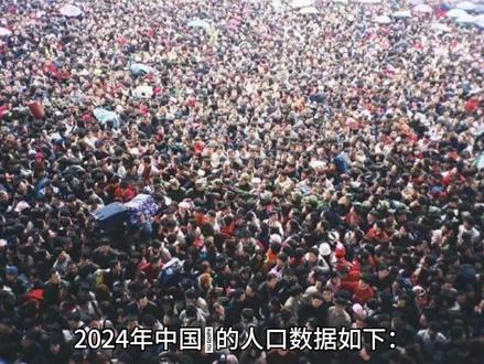 2024年中国人口数量结构