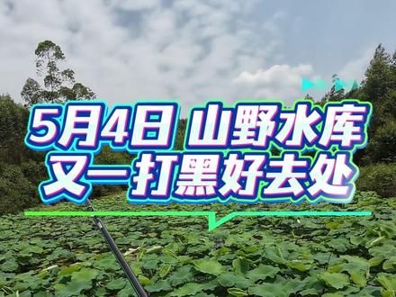 又给大家找到一个打黑的好去处,有大老黑哟! #路亚打黑 #雷强路亚黑鱼