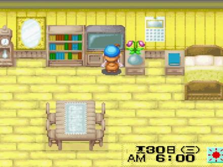 夏天悄悄溜走了 #牧场物语矿石镇的伙伴们