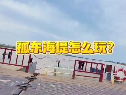 这几天有朋友去孤东海堤一无所获,我就出了个教程,有点长,看完颠覆你想象#一起看海 #赶海 #孤东海堤
