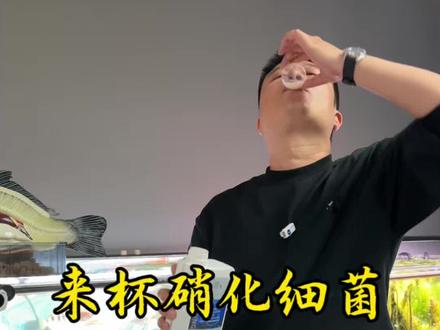 来杯硝化细菌硝化细菌实战讲解 #新手养鱼 #硝化细菌