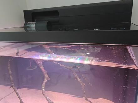 画法几何鱼缸M1 Ultra发现的一些小问题
1、水草灯亮度太小
2、盖子公差
#画法几何鱼缸 #小米鱼缸 #鱼缸里的大自然