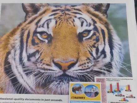 惠普476dw,维修过程中遇到的奇葩事,故障解决后试机都正常了,等把所有的都正常安装完后,开机就卡到logo界面,初始化失败,直接黑屏闪灯报错,折腾了大半天才找到问题……#打印机 #复印机维修