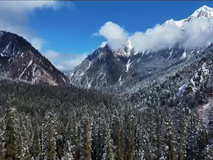 #李子柒谈为何将工作重心转幕后 :生活因文艺发生改变 #李子柒