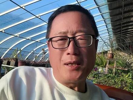 海南封关不是封岛,去海南旅行不受影响,不用办理通行证#海南封关#海南免税店