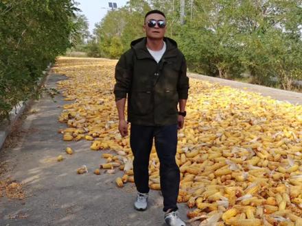 粉丝想学的鹞子翻身#剑术 #剑法 #银川剑术