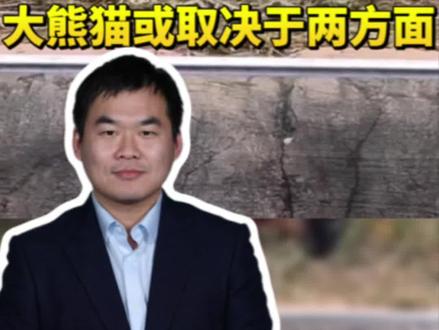 【日本将于明年进入“零熊猫时代”,专家称日本是否还会有大熊猫或取决于两方面】目前,日本国内仅有2只大熊猫,为东京上野动物园的“晓晓”和“蕾蕾”。明年2月东京上野动物园的两只大熊猫的租期将到期,届时将回到中国,到那时日本全国将没有大熊猫。
辽宁大学日本研究中心客座教授陈洋接受中新社@国是直通车采访时表示,中方是否继续租赁大熊猫给日本或取决于两个因素。一方面在于大熊猫自身的身体状况和健康情况,以及日方能否提供科学、健康的饲养环境;另一方面在于中国社会对于继续租赁大熊猫给日本的感情认知。毕竟高市早苗的涉台错误言论严重地伤害了中国人民的感情,接下来就在于日方能否撤回错误言论,包括推动修复中日民间友好感情的恢复。