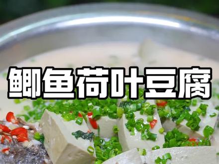 鲫鱼煮荷叶豆腐 #玩在长沙吃在湘潭 #老细屋里私房菜 #爱上湘潭菜打卡老细家
