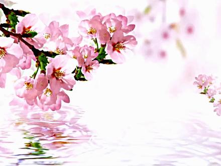 三生桃花念君安(第一集)
#完美世界国际版 #菟菟出品 #菟菟和NANA #菟菟代码
#原创视频剪辑
配音监制@子墨风清