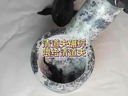 些许残忍……为民除害! #清道夫