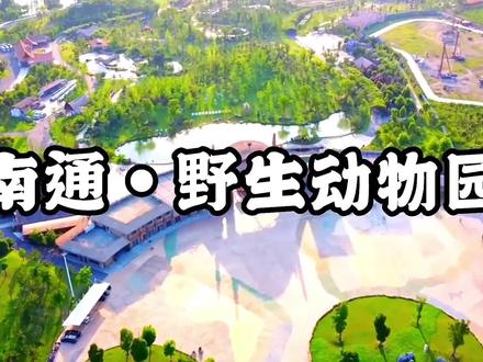 #同城精选 #亲子游玩好去处 #五一去哪儿 #五一出游热度飙升 #南通森林野生动物园 有条件可以住一晚园区里面的森迪部落 会有可爱小动物去敲门 一定提前2个月预约