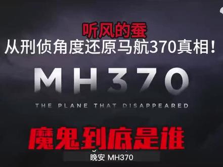 也许就是马航370真相!听风的蚕