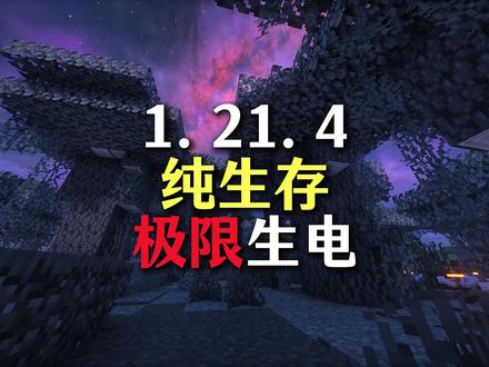 极限生电无辅助模组纯生存 这版本盔甲商直接封神 #我的世界 #纯生存 #生电