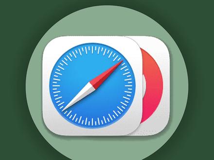 safari没插件等同于吃泡面没调料!!!没味道 #ios技能 #iPhone #数码科技