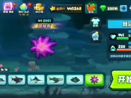 南海成为第一个拥有16条鱼的海域