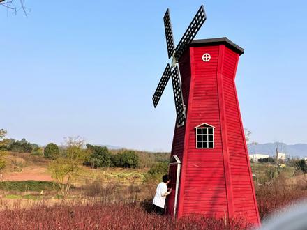 重庆的春天应该怎么玩 重庆巴南界石罗滩河公园,带娃踏青游玩,露营,野炊,免费游玩一整天。#来看看重庆的艳阳天 #开往春天的重庆列车已到站 #踏青 #野炊 #露营