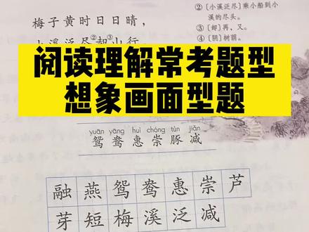 #阅读理解 想象画面题型 作答技巧。#阅读理解答题技巧