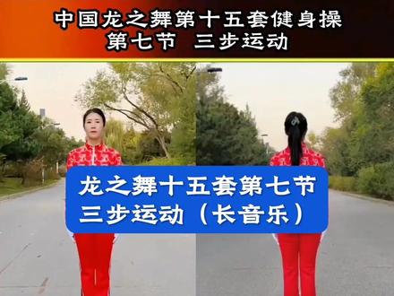 龙十五第七节三步运动