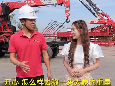 想知道一头大象多重吗?用长兴吊机智能计重设备,轻轻松松知道有多重#长兴吊机厂家