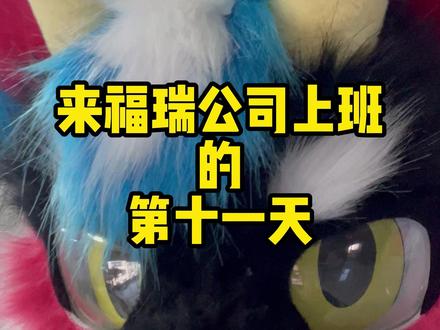 来福瑞公司上班的第十一天 #福瑞 #兽装fursuit #furry #vlog #热点