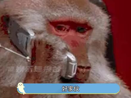 质疑广场舞阿姨 理解阿姨 成为阿姨 #凤凰传奇 #演唱会 #血脉觉醒 #娱乐评论大赏 #玲花 #曾毅