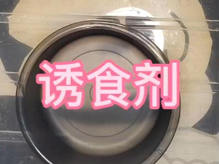 自制诱食剂,自制小药#鱼饵制作 #天津野钓#钓鱼