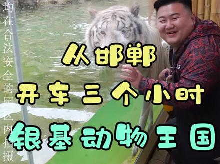 在邯郸你可以不结婚,但一定要带着孩子去一趟银基动物王国!