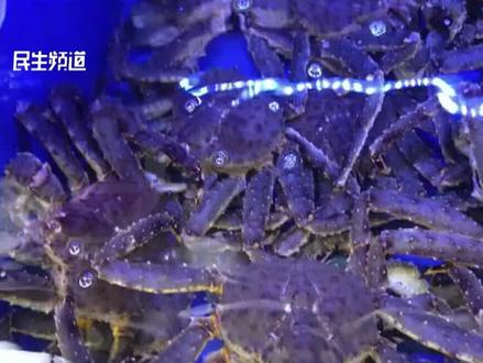 全面暂停进口日本水产品,商家:不会再卖了,“所有进口严格把关”