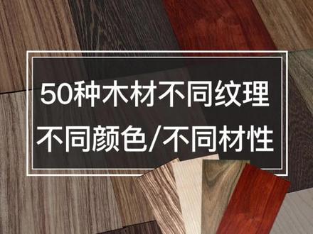 50种木材,不同纹理 不同颜色 不同材性的实木集锦小蓝本 #木材样册 #木材知识手册 #小蓝本 #荣源木业 #木材