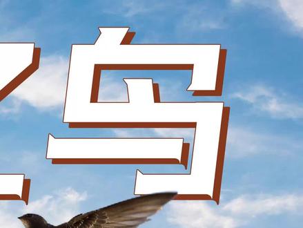 传说中的“无脚鸟”,定居北京600余年,只因老北京儿有这个!#北京中轴线申遗 #北京申遗 #申遗 #北京雨燕 #科普 #鸟类 #科研 #迁徙 #候鸟南飞 #候鸟 #雨燕视角穿越北京中轴线